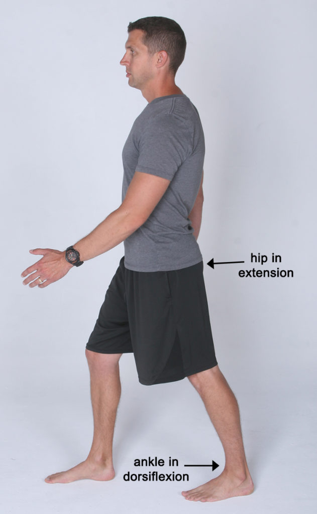 Hip Flexors Can Cause Foot Pain » The BioMechanics Method